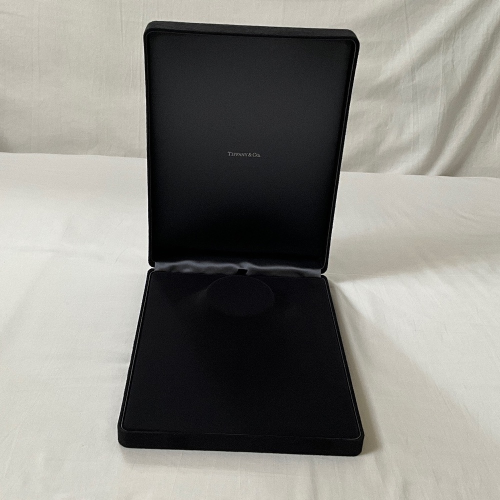 TIFFANY & CO. Extra Large Necklace Suede Presentation Case Black (#2)